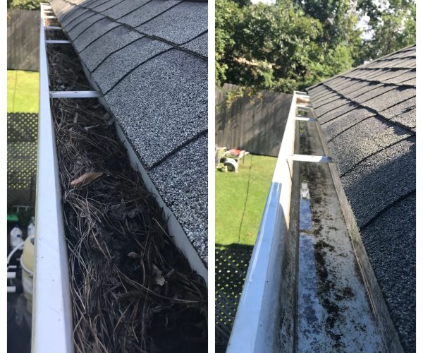 Gutter Cleaning (1)
