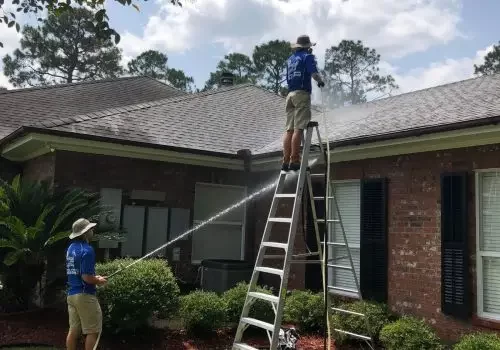 Roof Washing Expert